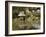 Shukkeien Garden, Hiroshima, Japan-Richardson Rolf-Framed Photographic Print