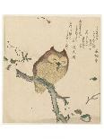 Owl on a Magnolia Branch, c. 1890- 1900-Kubota Shunman, Shunchôtei, Senshunan-Framed Art Print