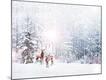 Premium Photographic Print