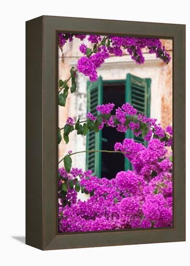 Shuttered Window and Blossom-Frank Fell-Framed Premier Image Canvas