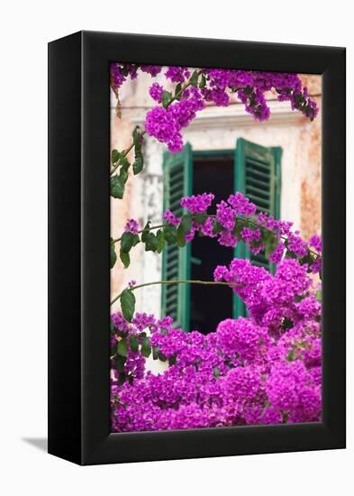 Shuttered Window and Blossom-Frank Fell-Framed Premier Image Canvas