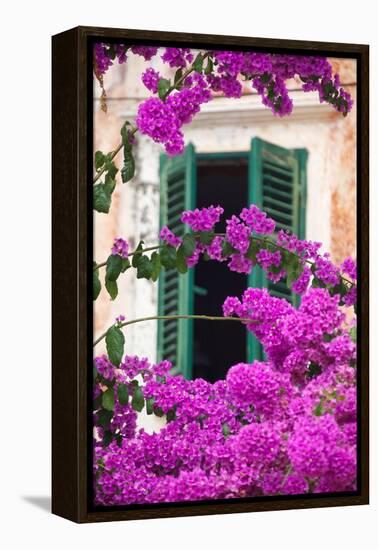 Shuttered Window and Blossom-Frank Fell-Framed Premier Image Canvas