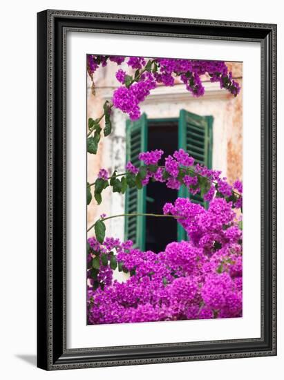 Shuttered Window and Blossom-Frank Fell-Framed Photographic Print