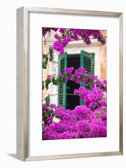 Shuttered Window and Blossom-Frank Fell-Framed Photographic Print