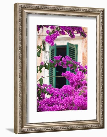 Shuttered Window and Blossom-Frank Fell-Framed Photographic Print