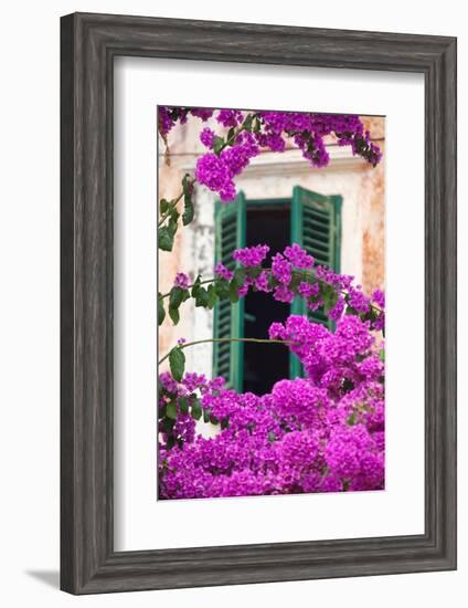 Shuttered Window and Blossom-Frank Fell-Framed Photographic Print