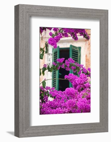 Shuttered Window and Blossom-Frank Fell-Framed Photographic Print