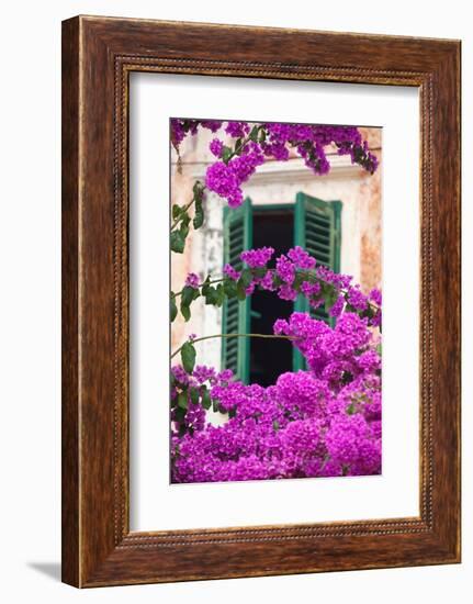 Shuttered Window and Blossom-Frank Fell-Framed Photographic Print