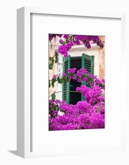 Shuttered Window and Blossom-Frank Fell-Framed Photographic Print