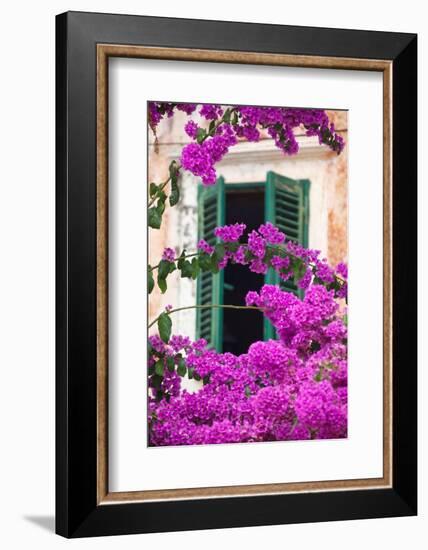 Shuttered Window and Blossom-Frank Fell-Framed Photographic Print