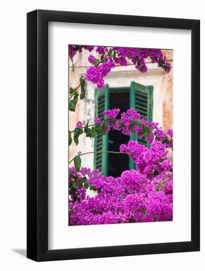 Shuttered Window and Blossom-Frank Fell-Framed Photographic Print