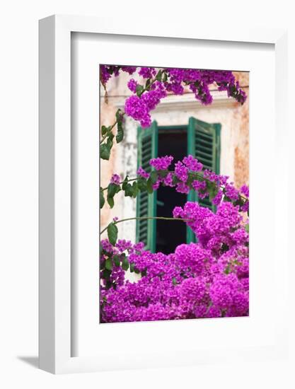 Shuttered Window and Blossom-Frank Fell-Framed Photographic Print