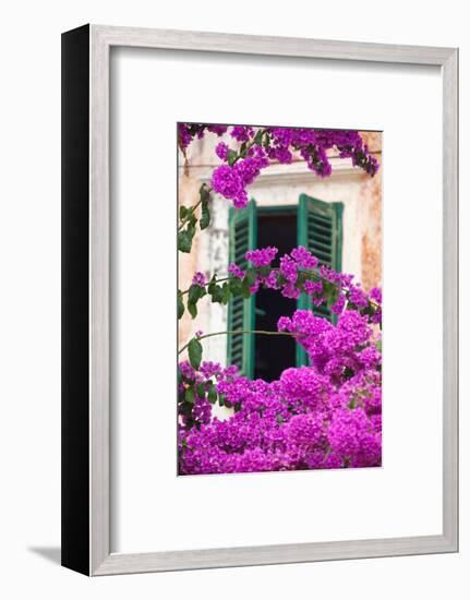 Shuttered Window and Blossom-Frank Fell-Framed Photographic Print