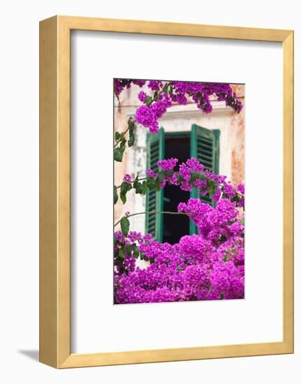 Shuttered Window and Blossom-Frank Fell-Framed Photographic Print