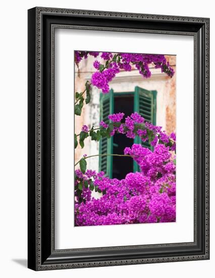 Shuttered Window and Blossom-Frank Fell-Framed Photographic Print