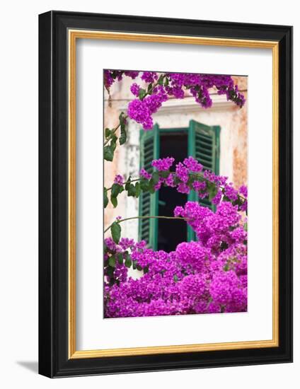 Shuttered Window and Blossom-Frank Fell-Framed Photographic Print