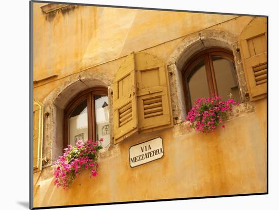 Shuttered Windows and Flowers, Piazza Mercato, Belluno, Province of Belluno, Veneto, Italy, Europe-Frank Fell-Mounted Photographic Print