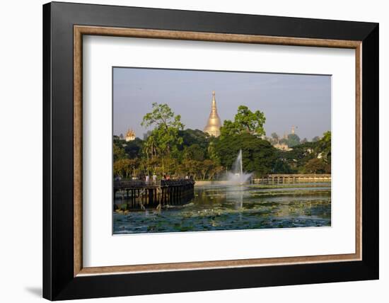 Shwedagon, Kan Daw Gyi Lake and Park, Old City, Yangon (Rangoon), Myanmar (Burma), Asia-Nathalie Cuvelier-Framed Photographic Print