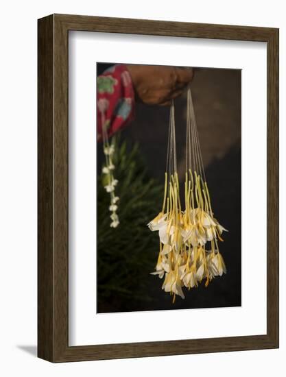 Shwedagon Pagoda in Yangon, Myanmar (Burma)-Merrill Images-Framed Photographic Print