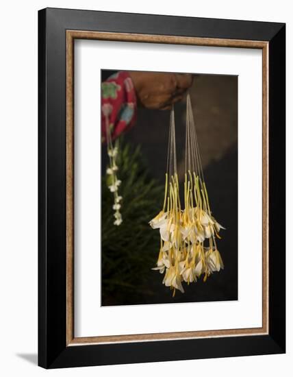 Shwedagon Pagoda in Yangon, Myanmar (Burma)-Merrill Images-Framed Photographic Print