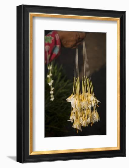 Shwedagon Pagoda in Yangon, Myanmar (Burma)-Merrill Images-Framed Photographic Print