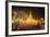 Shwedagon Pagoda, Yangon (Rangoon), Myanmar (Burma), Asia-Colin Brynn-Framed Photographic Print