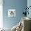 Shy, 2015-Mark Adlington-Premium Giclee Print displayed on a wall
