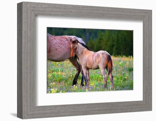 Shy Boy-Lisa Dearing-Framed Photographic Print