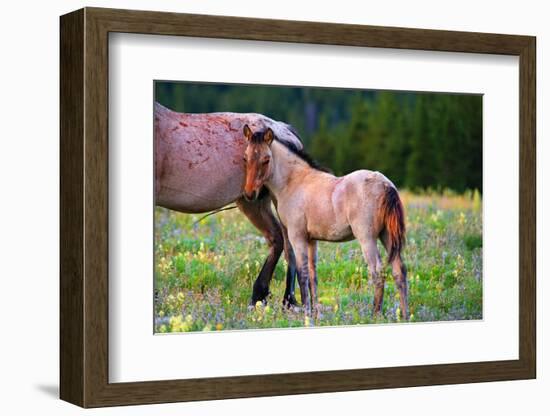 Shy Boy-Lisa Dearing-Framed Photographic Print