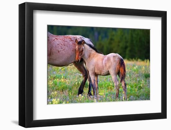 Shy Boy-Lisa Dearing-Framed Photographic Print