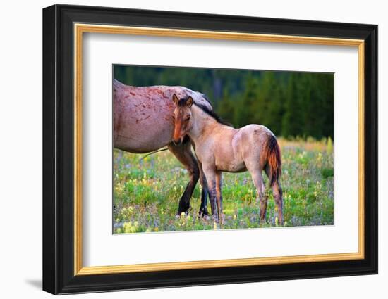 Shy Boy-Lisa Dearing-Framed Photographic Print