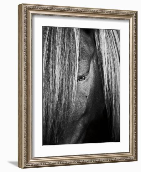 Shy Crop-Aledanda-Framed Art Print