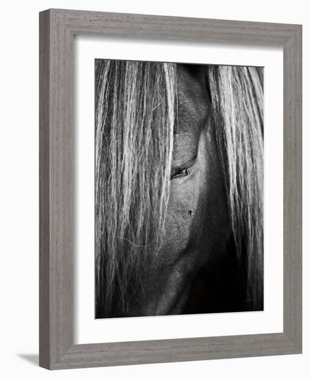 Shy Crop-Aledanda-Framed Art Print