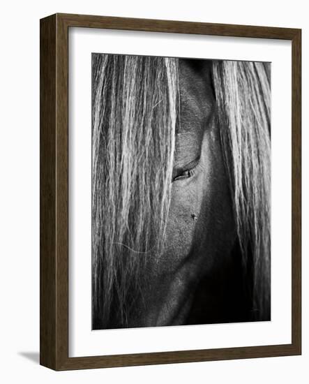 Shy Crop-Aledanda-Framed Art Print