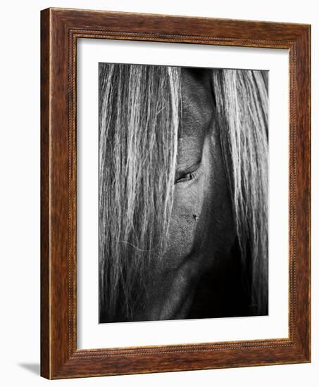 Shy Crop-Aledanda-Framed Art Print