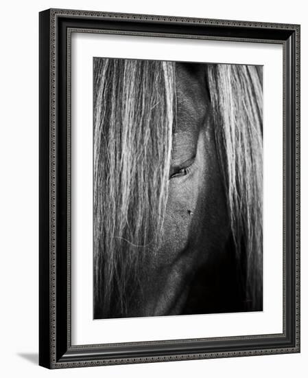 Shy Crop-Aledanda-Framed Art Print