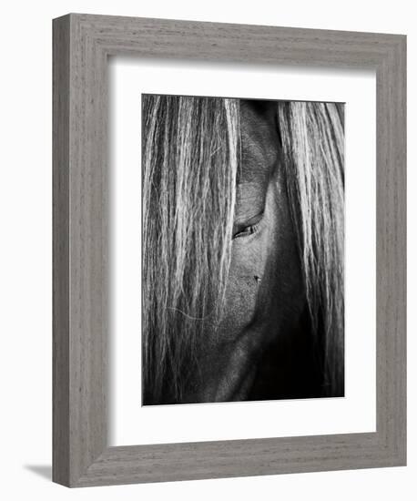 Shy Crop-Aledanda-Framed Art Print