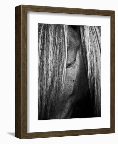 Shy Crop-Aledanda-Framed Art Print