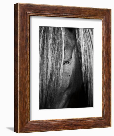 Shy Crop-Aledanda-Framed Art Print