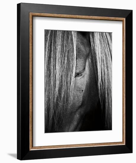 Shy Crop-Aledanda-Framed Art Print