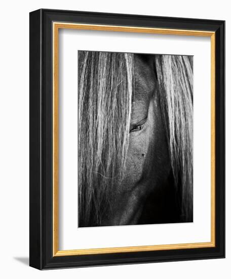 Shy Crop-Aledanda-Framed Art Print