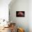 Shy-Ilias Nikoloulis-Photographic Print displayed on a wall