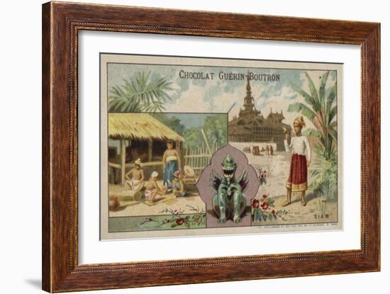 Siam-null-Framed Giclee Print