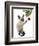 Siamese Cat and Bauble-Fab Funky-Framed Art Print