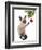 Siamese Cat and Bauble-Fab Funky-Framed Art Print