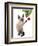 Siamese Cat and Bauble-Fab Funky-Framed Art Print