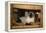 Siamese Cat on Chair-DLILLC-Framed Premier Image Canvas