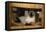 Siamese Cat on Chair-DLILLC-Framed Premier Image Canvas