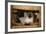 Siamese Cat on Chair-DLILLC-Framed Photographic Print