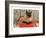 Siamese Cat on Pillow-null-Framed Art Print